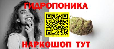 дживик Тайшет
