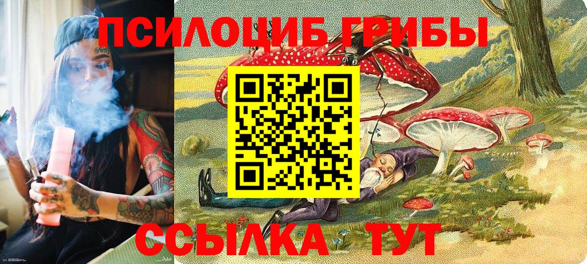 Псилоцибиновые грибы мицелий Богородицк