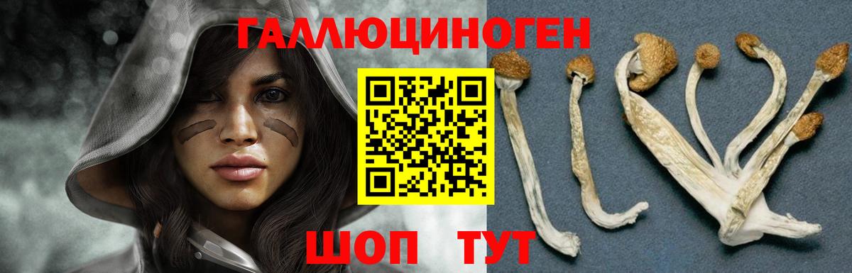 Псилоцибиновые грибы мухоморы  Псилоцибиновые грибы мухоморы  Вход с VPN  Богородицк 